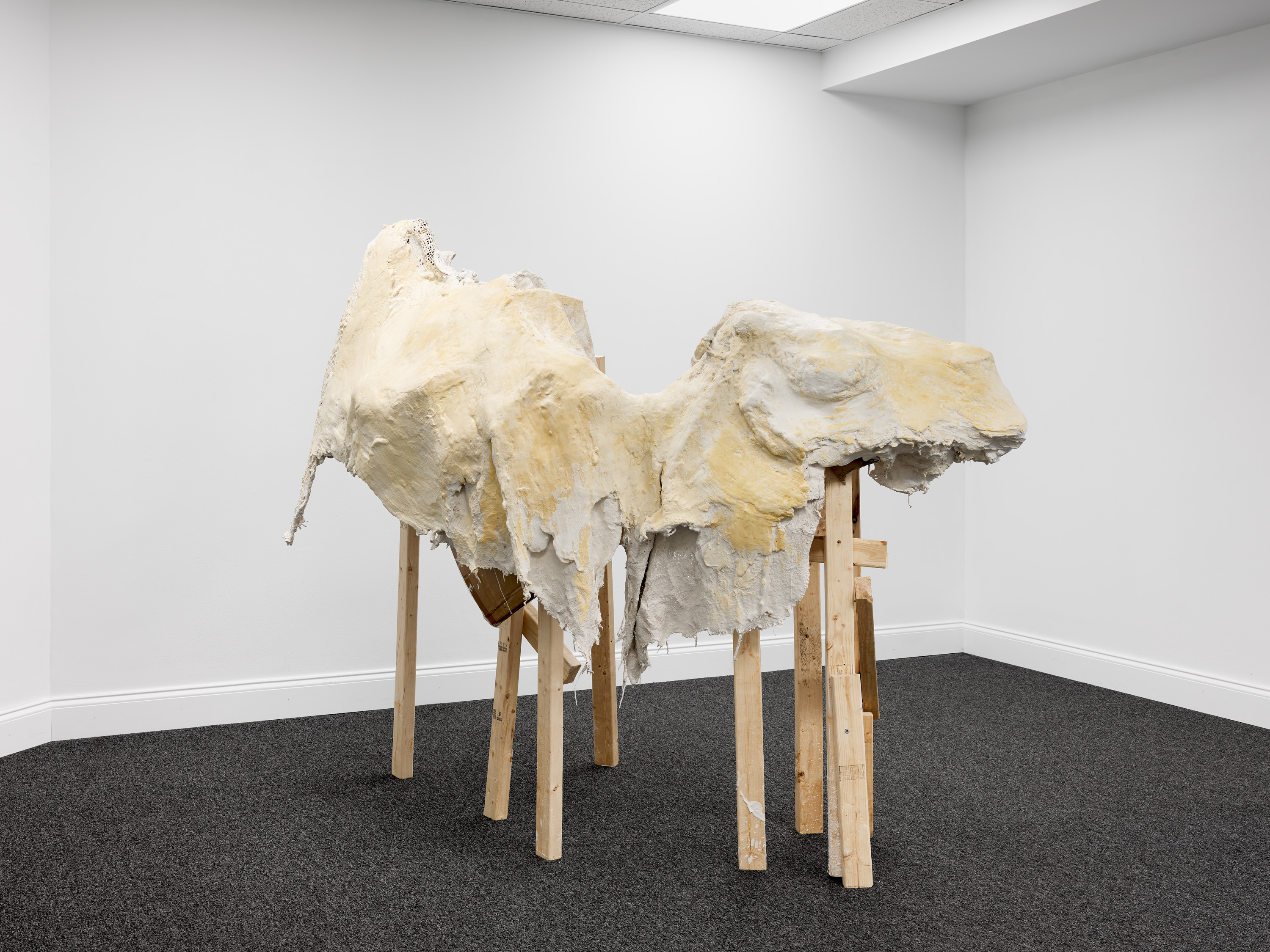 Current Exhibition Image 1