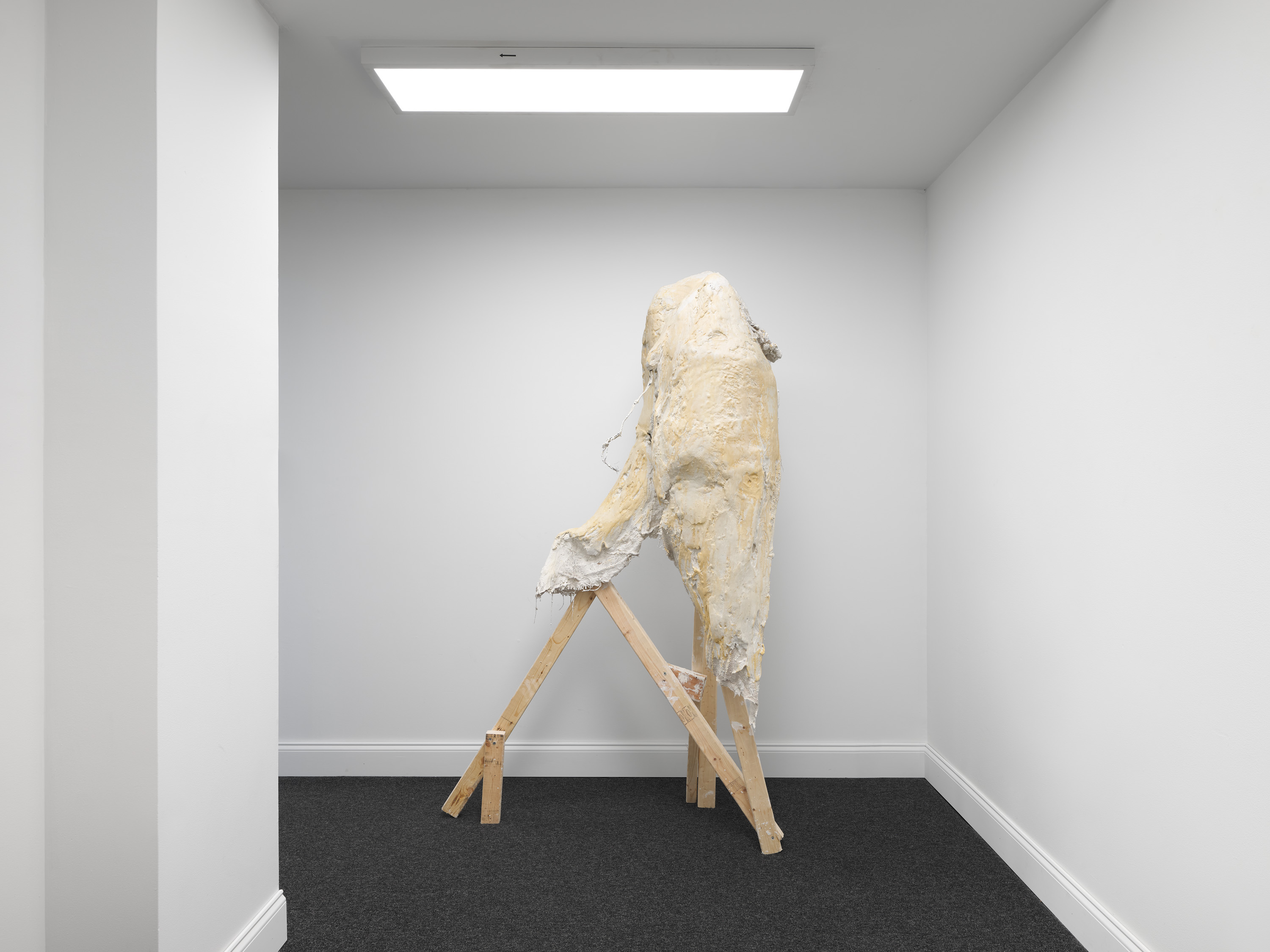 Current Exhibition Image 1